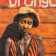 RETOUR MADAGASCAR - D (60x80cm)